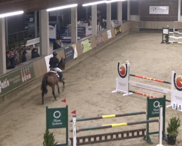 Reitturnier Oelde 2025