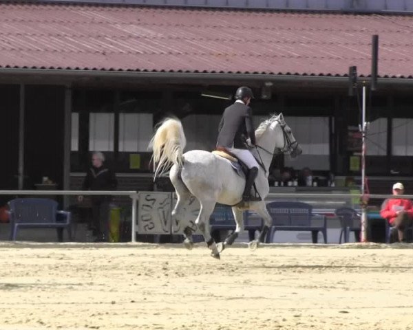Appelhülsen 2014