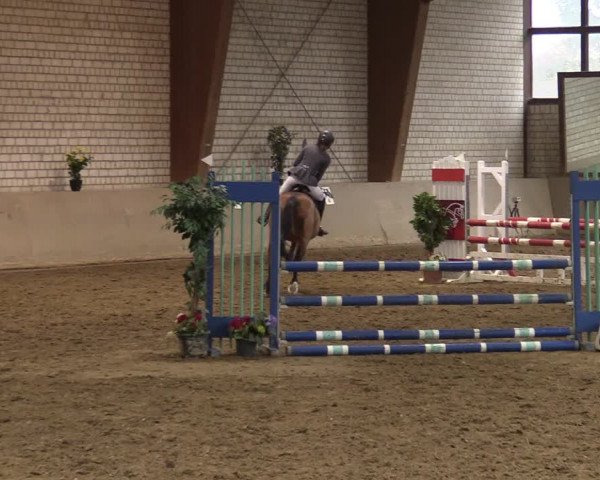 Reitturnier Kamen 2021