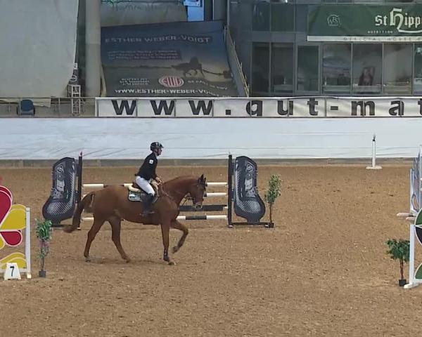 Reitturnier Kreuth/Opf. 2025