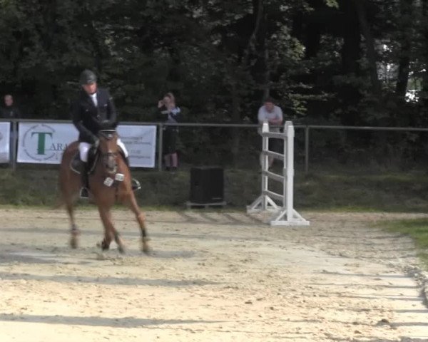 Springturnier Meinerzhagen 2014