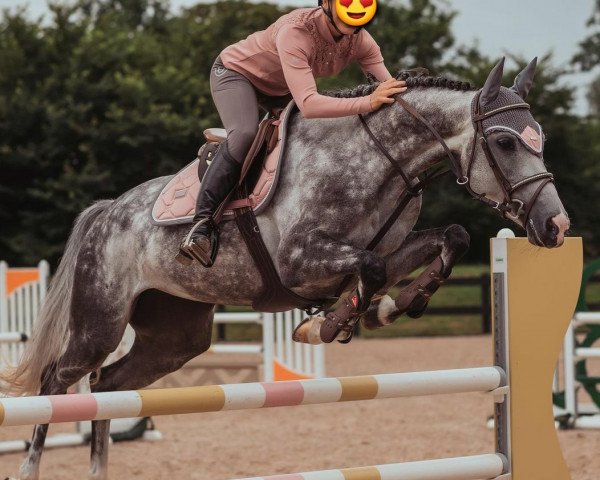 horse Havanna III (Holsteiner, 2015, from Clarcon)