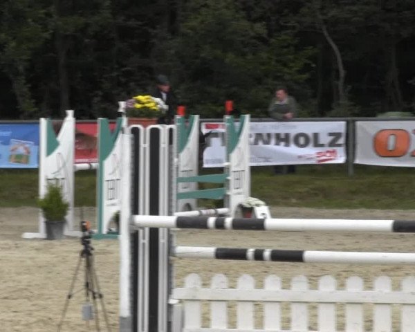 Springturnier Meinerzhagen 2014