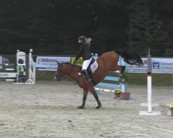 Springturnier Meinerzhagen 2014