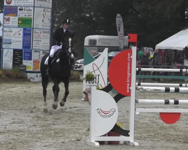 Springturnier Meinerzhagen 2014