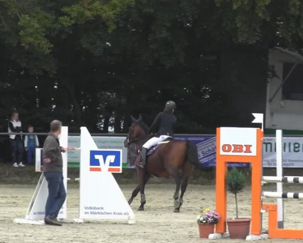 Springturnier Meinerzhagen 2014