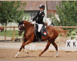 Zuchtstute Beverly MF (Deutsches Reitpony, 2003, von Bavarottie)