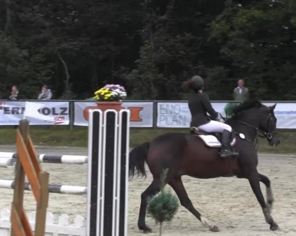 Springturnier Meinerzhagen 2014