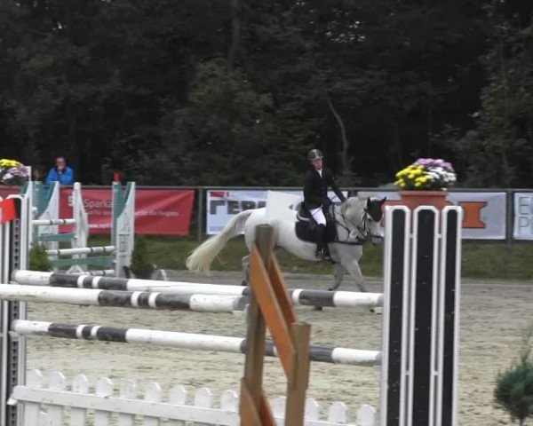 Springturnier Meinerzhagen 2014