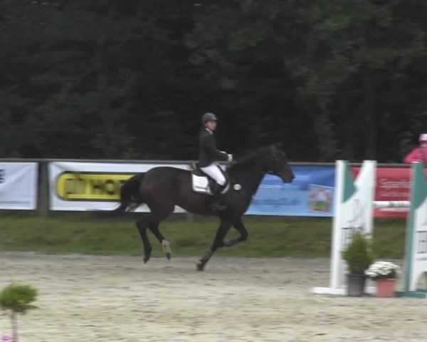 Springturnier Meinerzhagen 2014