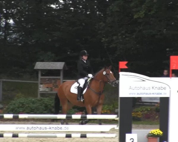 Springturnier Meinerzhagen 2014
