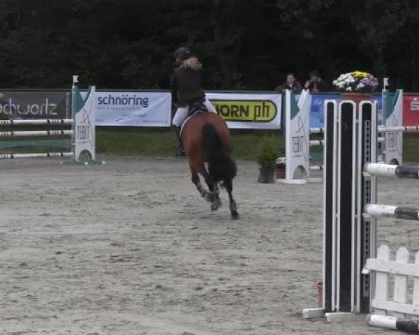 Springturnier Meinerzhagen 2014