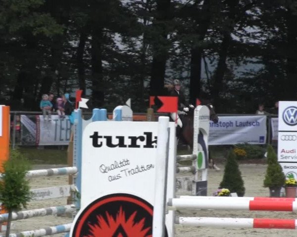 Springturnier Meinerzhagen 2014