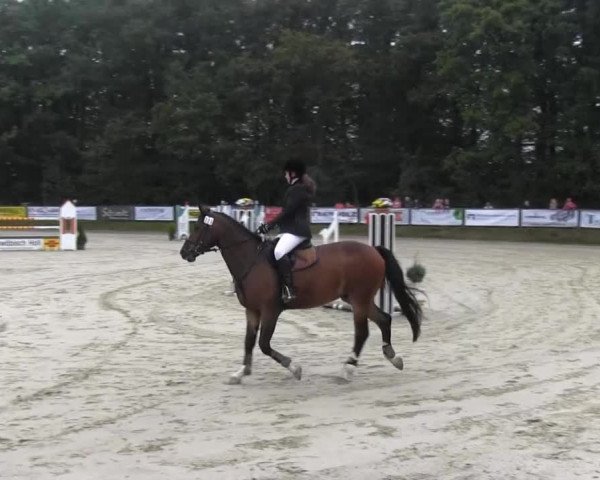 Springturnier Meinerzhagen 2014