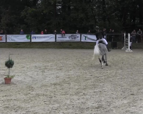 Springturnier Meinerzhagen 2014
