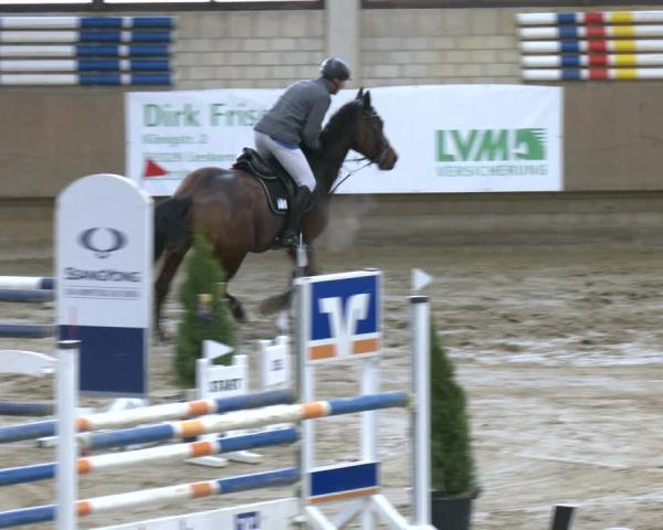 Reitturnier Oelde 2025