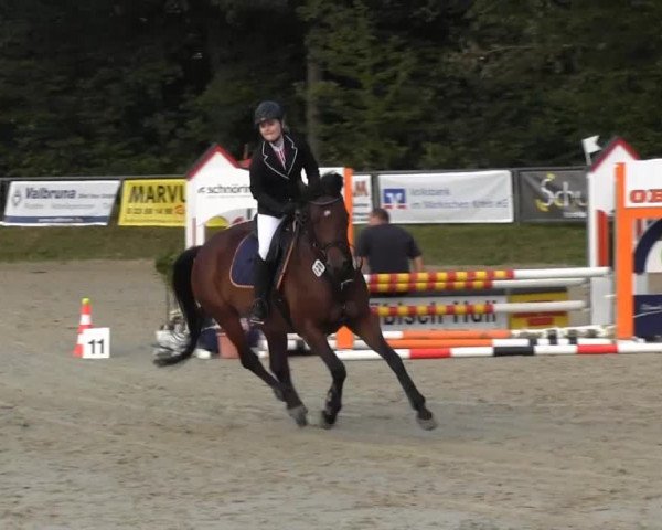 Springturnier Meinerzhagen 2014