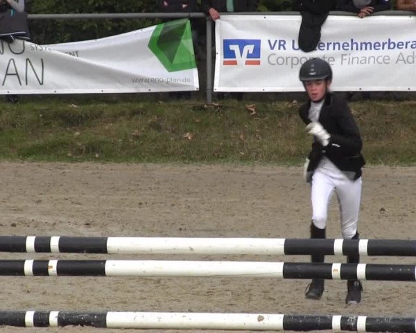Springturnier Meinerzhagen 2014