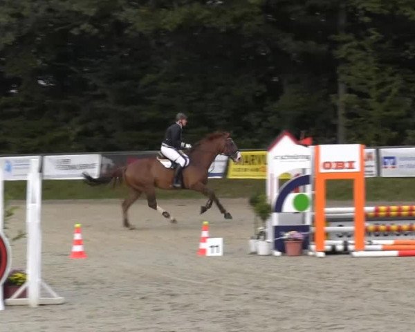 Springturnier Meinerzhagen 2014