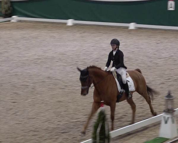 Reitturnier Dielsdorf 2025