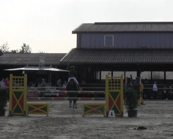 Appelhülsen 2014