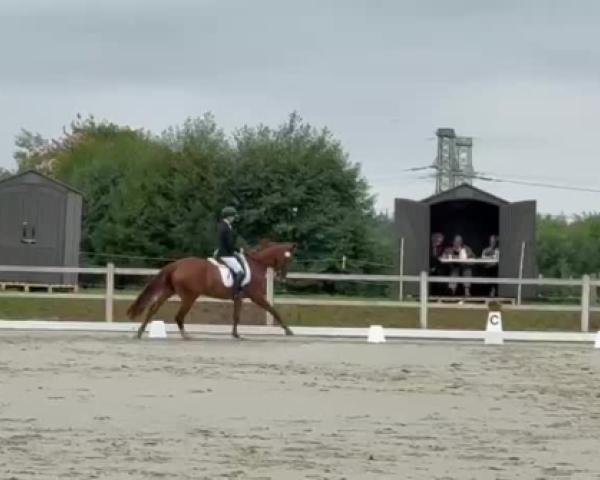 Video von Dancing Queen GE