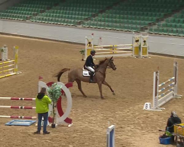 Reitturnier Kreuth/Opf. 2025