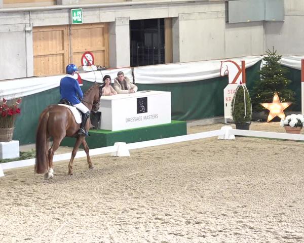 Reitturnier Dielsdorf 2025