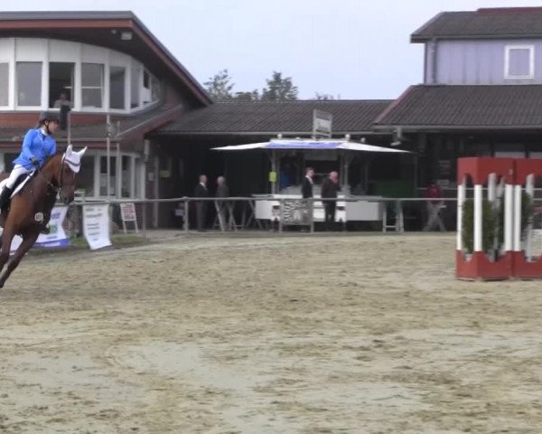 Appelhülsen 2014