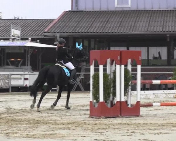 Appelhülsen 2014
