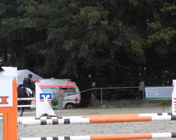 Springturnier Meinerzhagen 2014