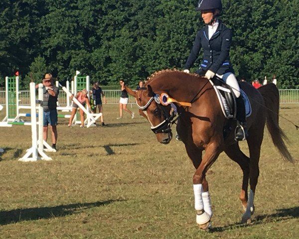 broodmare Delaya 10 (German Riding Pony, 2015, from Tackmann's Donut)