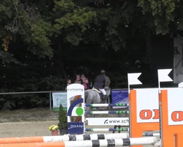 Springturnier Meinerzhagen 2014