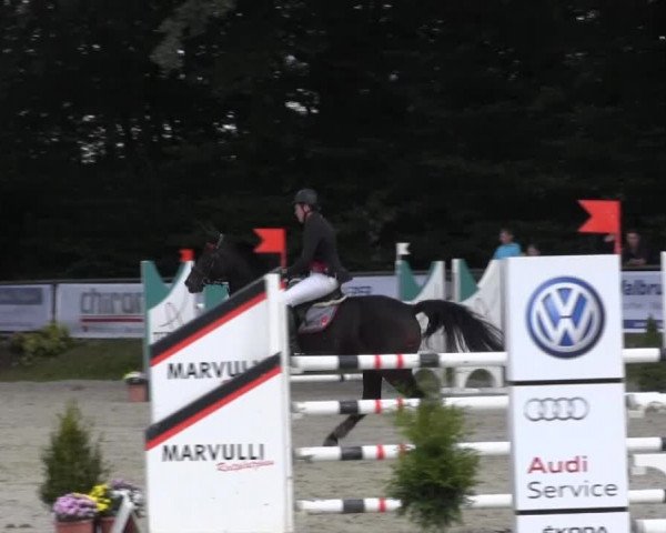 Springturnier Meinerzhagen 2014
