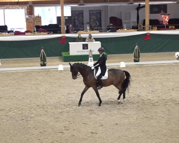 Reitturnier Dielsdorf 2025