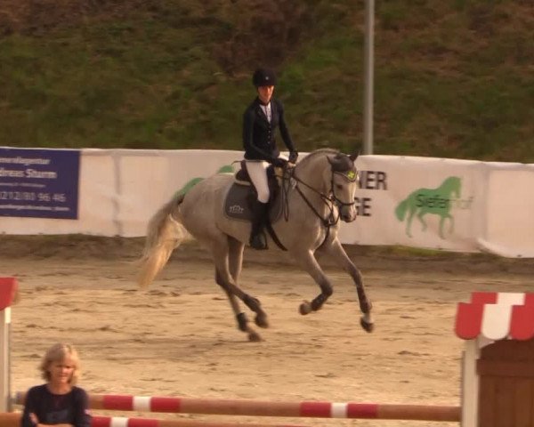 Witzheldener Reitertage 2014