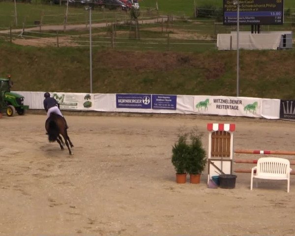 Witzheldener Reitertage 2014