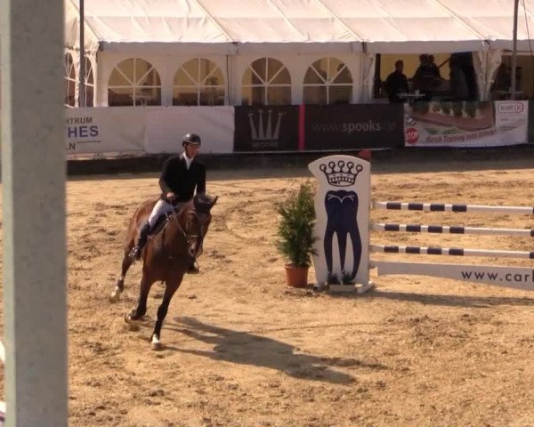 Witzheldener Reitertage 2014
