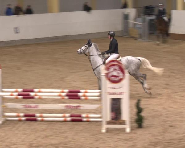 Reitturnier Stadl-Paura 2025