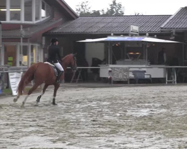 Appelhülsen 2014