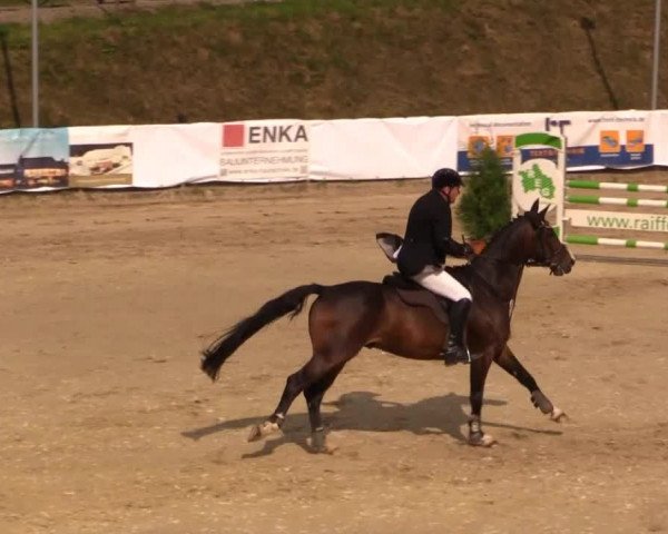 Witzheldener Reitertage 2014