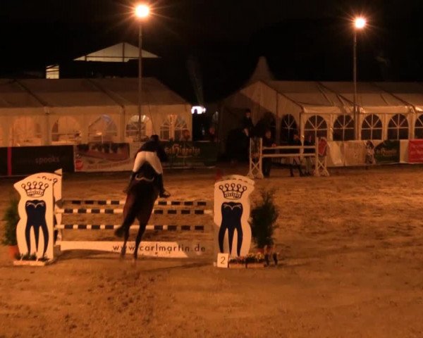Witzheldener Reitertage 2014