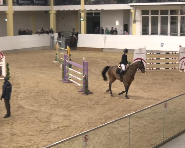 Reitturnier Stadl-Paura 2025