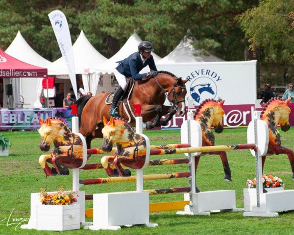stallion Cyann D'Ivraie (Selle Français, 2012, from Dollar de la Pierre)