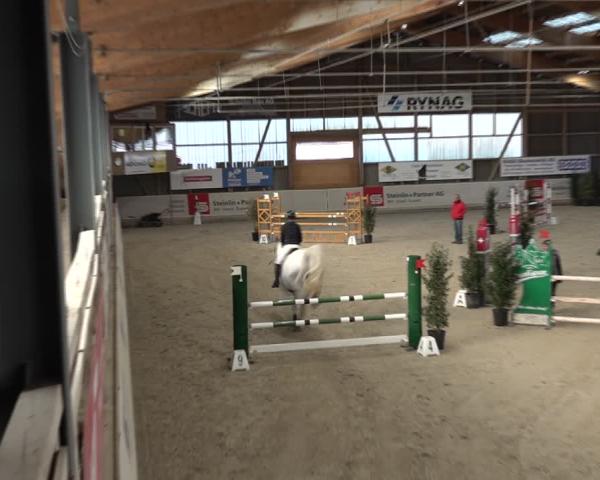 Reitturnier Henau 2025