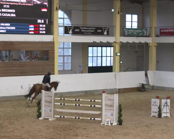 Reitturnier Stadl-Paura 2025