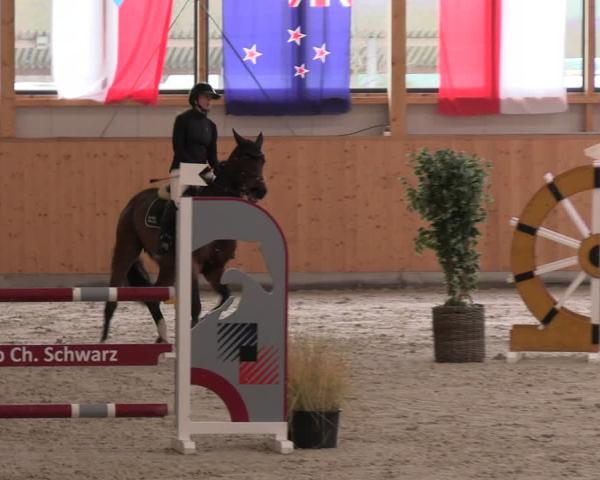 Reitturnier Hohenkirchen-Hohen Wieschendorf 2025