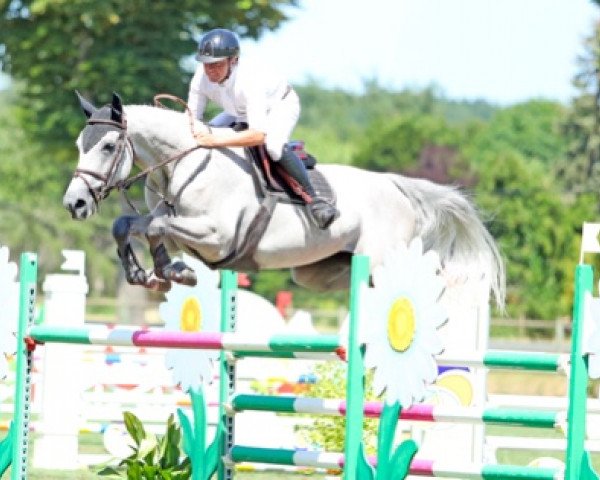 jumper Carlita de Gaïa (Selle Français, 2012, from Levistan)