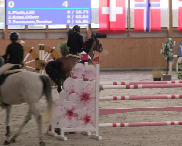 Reitturnier Hohenkirchen-Hohen Wieschendorf 2025