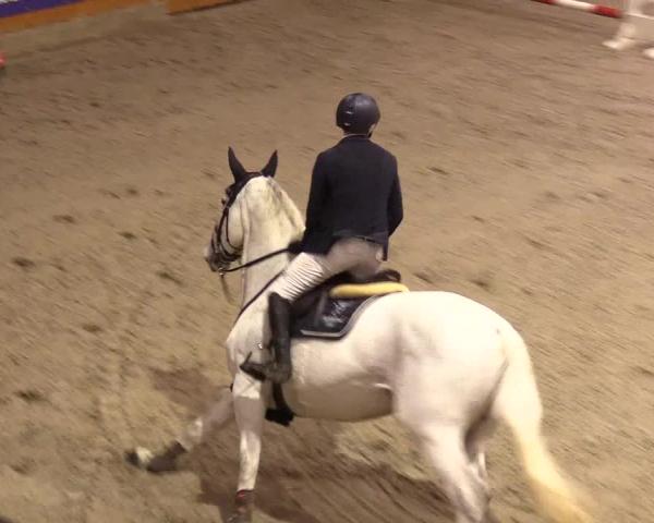 Reitturnier Leck 2025